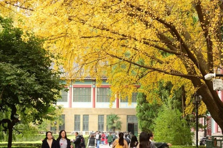 2024最新！中国高校数量Top10城市大揭秘